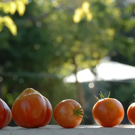 Da Irene Prázdninový dům