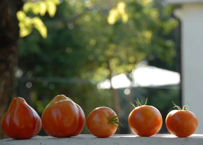 Da Irene Holiday home